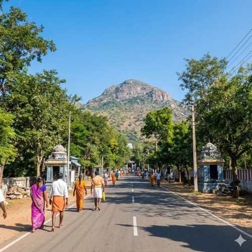Pilgrims walking along the tree-lined Girivalam path with the sacred Mount Arunachala visible in the background during sunrise.